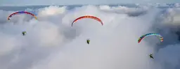 BGD Blizzard Motorschirm