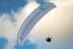 Apco Nestra True 2.5 liner - High EN-B - paraglider XC - demo sale view 4