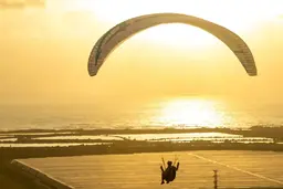 Apco Nestra True 2.5 liner - High EN-B - paraglider XC - demo sale view 11