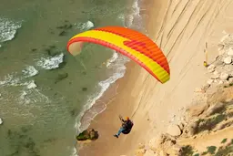 APCO Karisma II PM EN-A / DGAC beginner paraglider and paramotor wing view 7