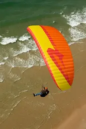 APCO Karisma II PM EN-A / DGAC beginner paraglider and paramotor wing view 8