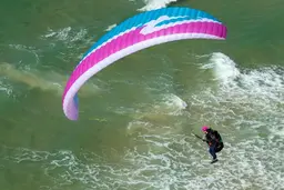 APCO Karisma II PM EN-A / DGAC beginner paraglider and paramotor wing view 3
