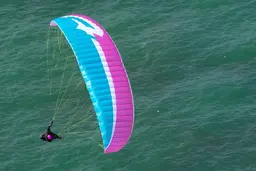 APCO Karisma II PM EN-A / DGAC beginner paraglider and paramotor wing view 5