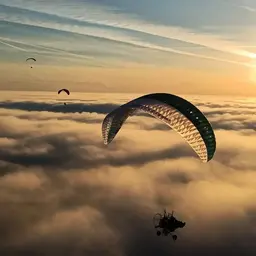 Apco Hybrid tandem paramotor glider - the simplest paramotor tandem view 4