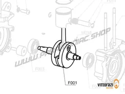 Vittorazi Fly 100 Evo2 MY22 - F001 - Crankshaft with push rod with flywheel nut 10 x 1.25 mm