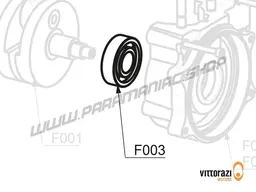 Vittorazi Fly 100 Evo2 MY25 - F003 - Bearing 47/20/14 mm - TVH - C3 (Set of 2)