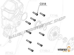 Vittorazi Cosmos 300 MY25 - C018 - Bolt 6 x 30 mm Tcei DIN 912 and Washer Ø 6 x 12 mm DIN 125A (Set of 10)