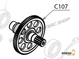 Vittorazi Cosmos 300 MY25 - C107 - Propeller shaft