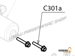 Vittorazi Cosmos 300 MY25 - C301a - Screw 6 x 35 mm Tef DIN 6921 (set of 5)