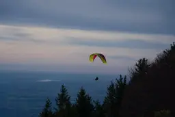 APCO Game MKIII robust tandem paraglider for free-flight and paramotor use view 19
