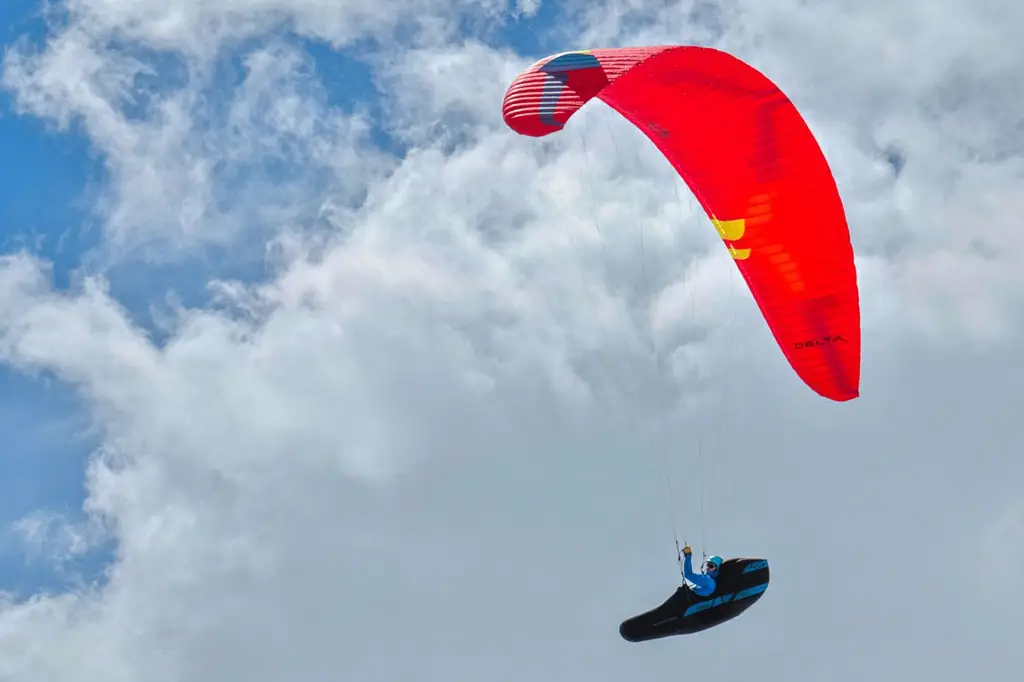 Ozone Delta 5 Ansicht 19
