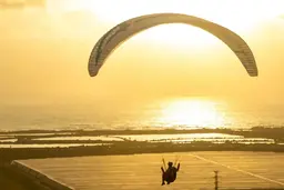 Apco Nestra True 2.5 liner - High EN-B - paraglider XC with 6 aspect ratio view 4