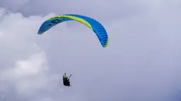 Dudek Halo view 2