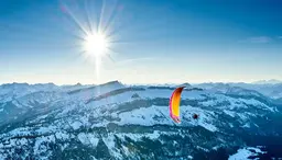 Dudek Solo Motorschirm Ansicht 4