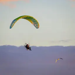 APCO NRG III paramotor view 26