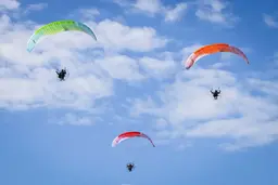 APCO NRG III paramotor view 22