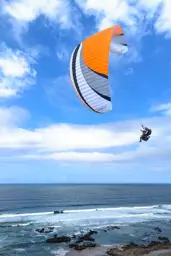 Pasha 7 view 7