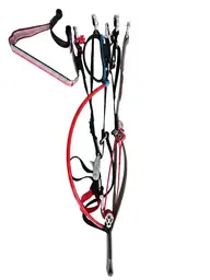 APCO F3 MKII Paramotor-Motorschirm Ansicht 30