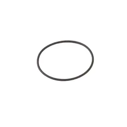 AirConception silencer seal (O-ring)