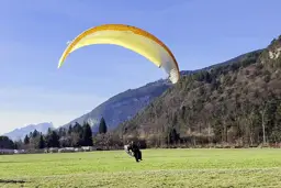 Verve view 7